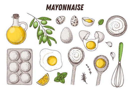 Mayonnaise sauce cooking and ingredients set. Hand drawn collection, vector illustration. Homemade mayonnaise sauce, design elements. Hand drawn package design. Oil and eggs.