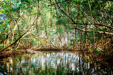 guadeloupe island caribbean beach and sun in atlantic ocean