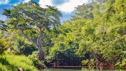 guadeloupe island caribbean beach and sun in atlantic ocean