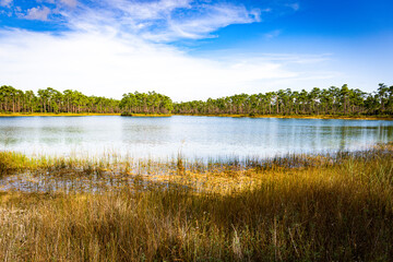 Lake in the Everglades