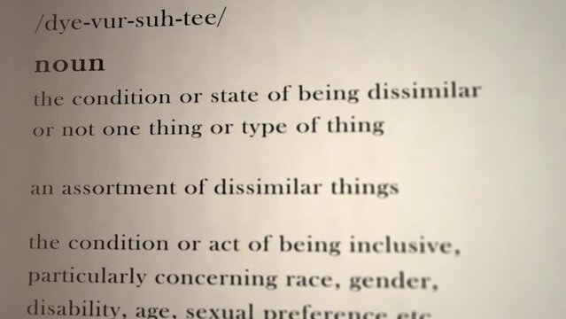 Diversity Definition