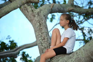 Young pretty child girl sitting relaxed between big branches of old tree on sunny summer day