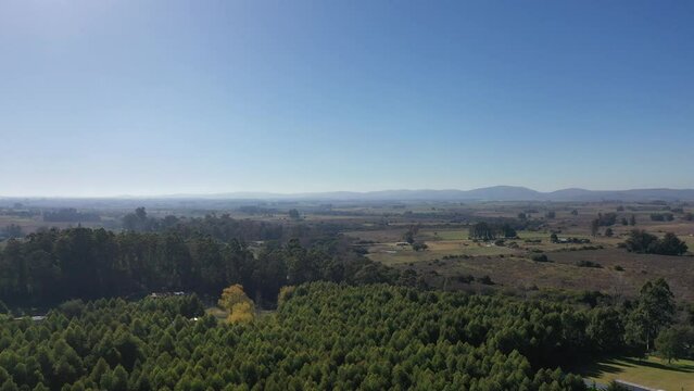 Aerial view of fields and city in uruguay