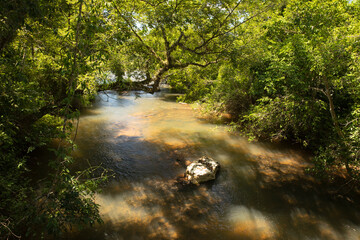 View of the river flowing along the tropical jungle with a beautiful light. 