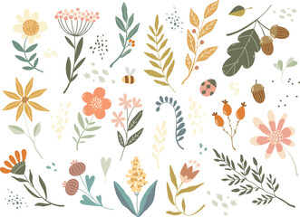 Botanical vector elements, wild flowers, leaves, bee, ladybug, dots, acorn in doodle style