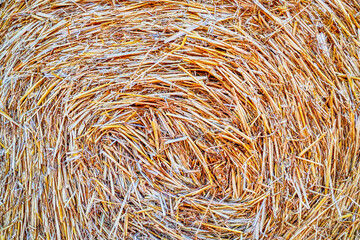 Growing, Harvesting and backgraund of Hay. Harvest of Hay. Field of hay bales. Harvesting at the end of the summer.