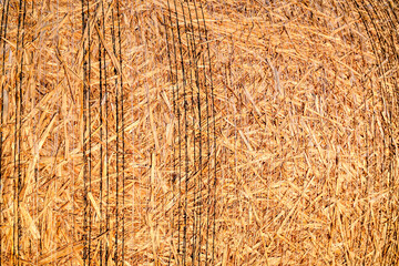 Growing, Harvesting and backgraund of Hay. Harvest of Hay. Field of hay bales. Harvesting at the end of the summer.