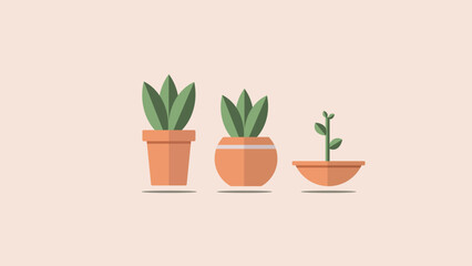 plat color green Plants pots vector illustration