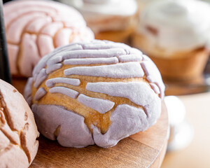 conchas traditional mexican bread