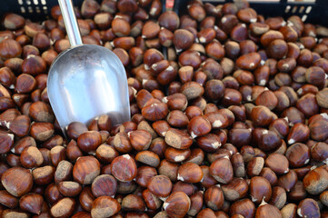New harvest of brown chestnuts on market in Lisbon, Portugal