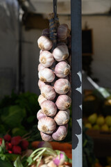 Fresh garlic on farmers market with seasonal local vegetables and fruits in small Portuguese...
