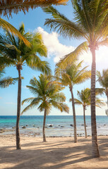 Obraz na płótnie Canvas Beautiful Caribbean beach with coconut palm trees on a sunny day.