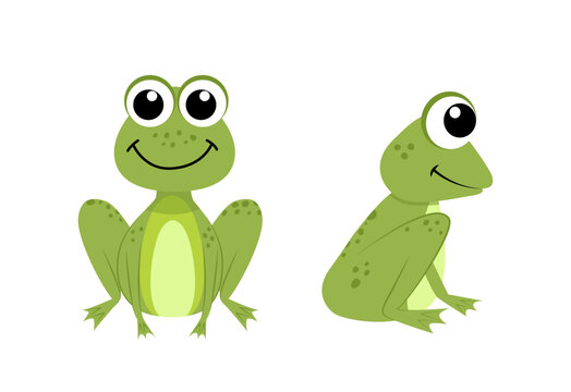 Frogs. Funny frogs in full face and half face. Flat, cartoon, vector