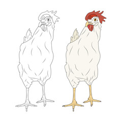 Chicken coloring page. Vector stock illustration eps 10.