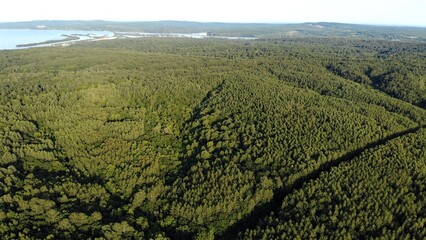Nature on the Amur River in Russia. Aerial view.
