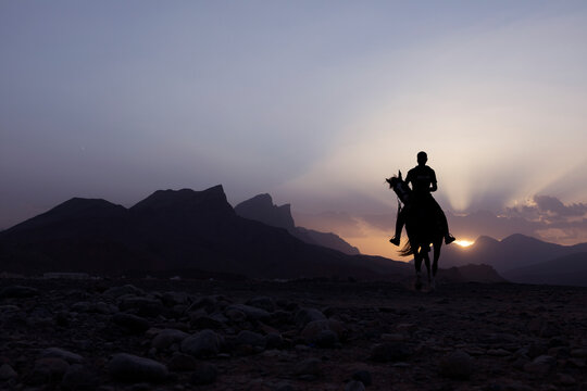 picture of a knight riding his horse in a beautiful sunset
