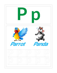 ABC Alphabet Letter Tracing P