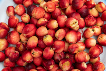 Omani peach in Nizwa market