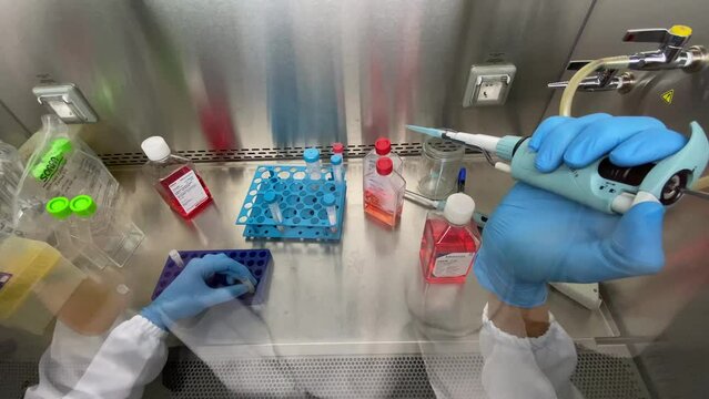 medicine, medical and cell culture laboratory