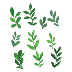 Watercolor Green Leaves Collection With Various Leaf Patterns