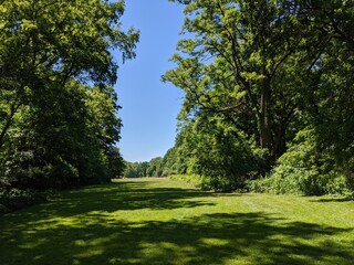 Nature 