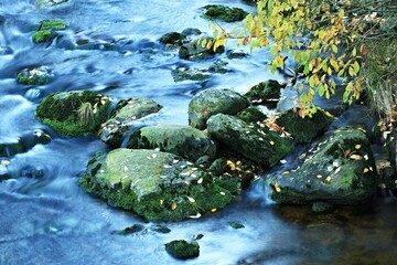 Wilderness of Vydra river, Bohemian Forest, Sumava National Park, Czech Republic.