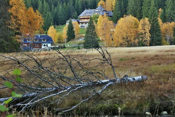 Šumava national park, Sumava mountains in Czech Republic in autumn