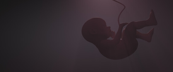 Human fetus illustration. New life - obrazy, fototapety, plakaty