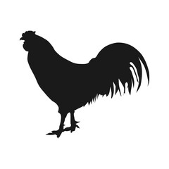The best super javanese rooster silhouette vector illustration. Editable graphic resources for many purposes.