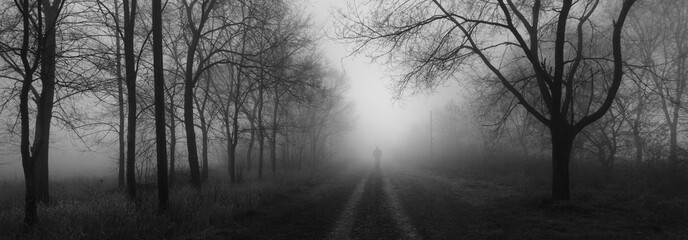 Silhouette of the man walking down the road on a misty winter day