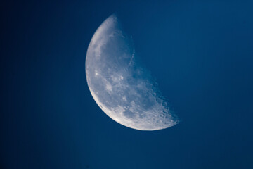 blue half moon