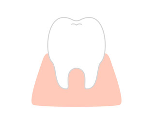 シンプルな歯と歯茎のイラスト