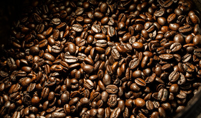 Close up of a group of coffee beans