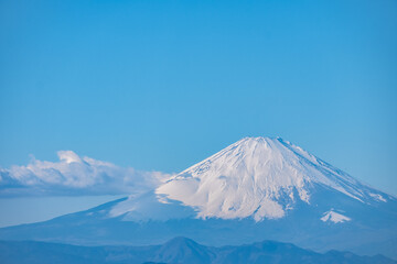 Fototapeta na wymiar 神奈川県逗子市披露山からの湘南江ノ島と富士山