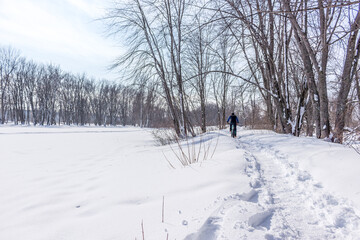 Beautiful winter landscape at the ravine Petrie Island, Ottawa river