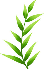 Fototapeta na wymiar Natural green herb leaves