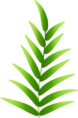 Natural green herb leaves