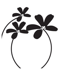 Luxurious black and white frangipani flowers, suitable for use in all fields related to nature, especially plants