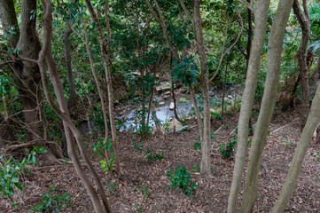 トレッキングコース　ハイキングコース　雑木林を流れる川