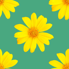 pattern of yellow flowers for summer