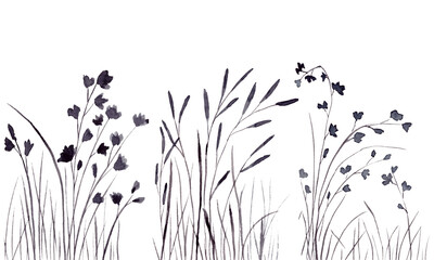 Watercolor flowers  collection, hand drawing, floral graphic elements