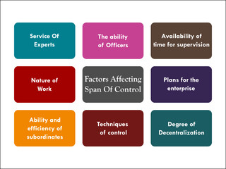 Eight Factors affecting Span of Control in an Infographic template