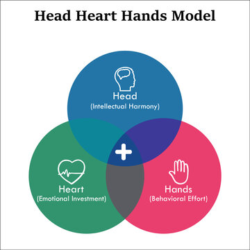 Head Heart Hands Model with Icons in an Infographic template
