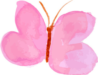 butterfly watercolor insect illustration