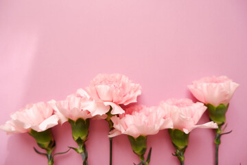 Obraz na płótnie Canvas Beautiful pink Carnation flowers composition on pink background. Mother's day, Women's day, wedding and bridal concept floral background.