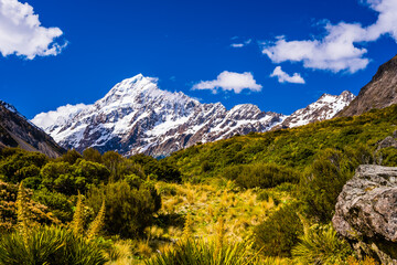 Fototapeta premium Mount Cook in New Zealand