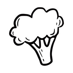 Hand drawn broccoli. Doodle sketch style. Drawing line simple broccoli icon. Isolated vector illustration.