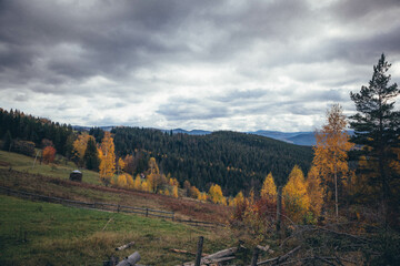 Ukrainian Carpathian Mountains During Fall