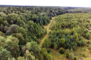 Fototapeta na wymiar Dirt road going through forest thickets, aerial view