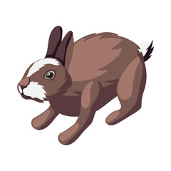 Hare Isometric Illustration
